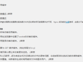 Wordpress Nginx 环境 wp Super Cache 插件专家模式重写规则