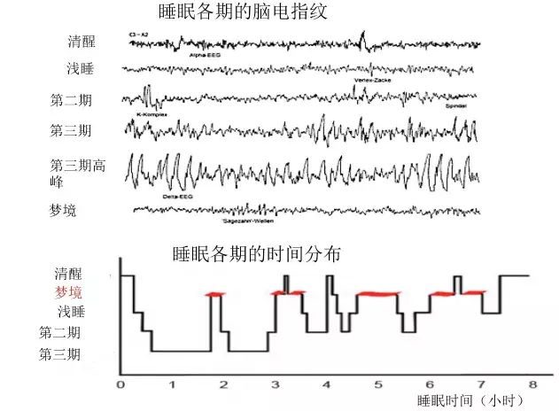 养成提高记忆力的三个好习惯