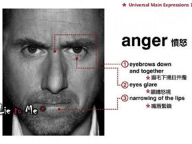 如何识别面部微表情