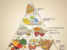 头发养护建议吃哪些食物