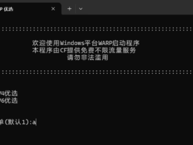Cloudflare WARP 的优化方案
